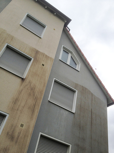 Algenmann.ch - Eschlikon TG - Algenreinigung an Fassaden bis 10 Meter ohne Gerüst